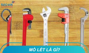 Mỏ lết là gì? Các loại mỏ lết phổ biến và ứng dụng của chúng